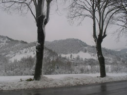 foto neve del 24 novembre 2005 8